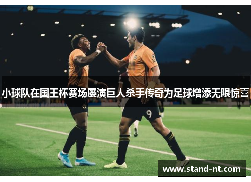 小球队在国王杯赛场屡演巨人杀手传奇为足球增添无限惊喜