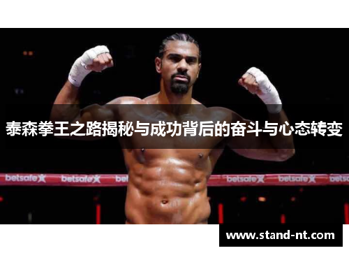 泰森拳王之路揭秘与成功背后的奋斗与心态转变